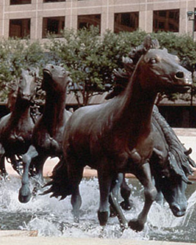 "Mustangs" by Robert Glen