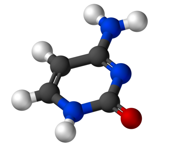 Identificacion de un nucleotido