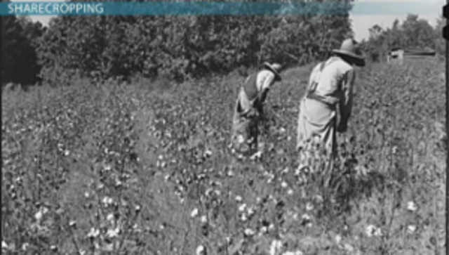 Sharecropping