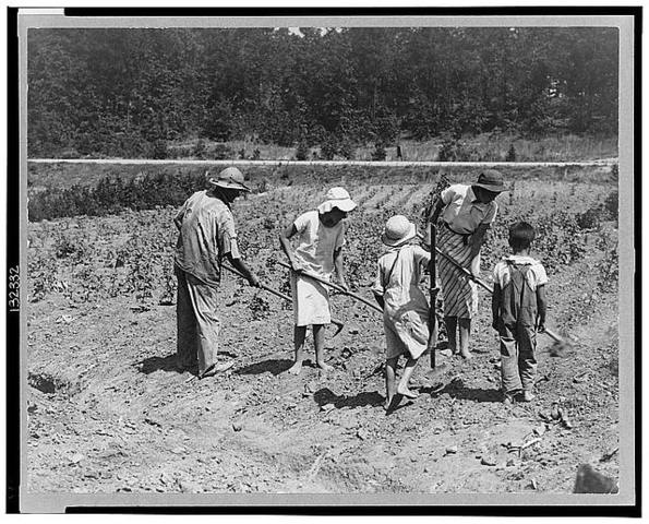 Sharecropping