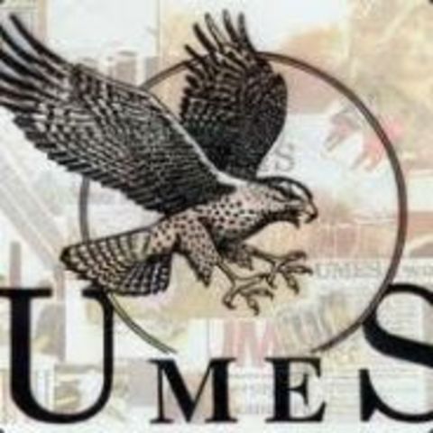 Unión Militar Española