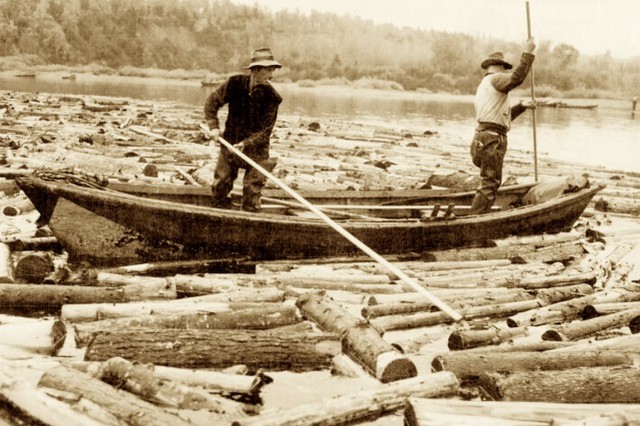 Dernier déversement de billes de bois dans la rivière Saint-Maurice