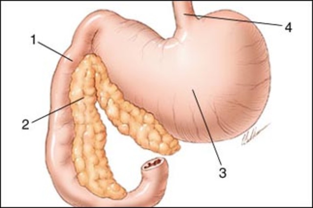 German Physician Makes a Discovery