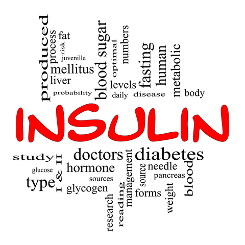 Insulin and Their Longevity