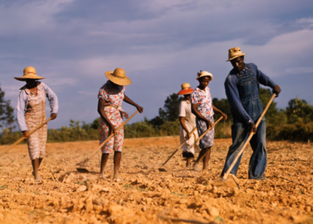 Sharecropping