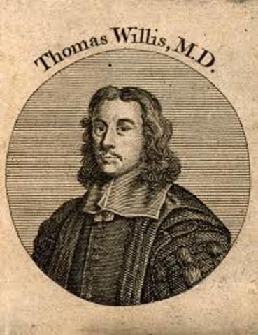 Thomas Willis