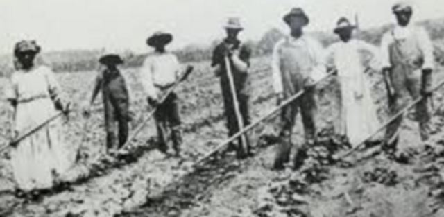 Sharecropping