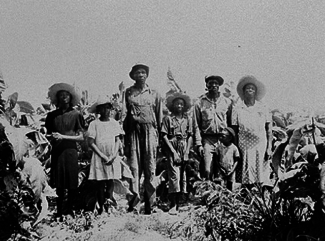 Sharecropping