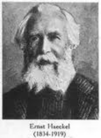 Ernst Haeckel