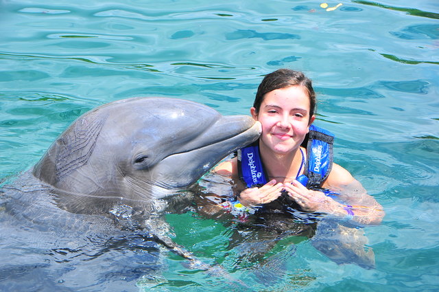 Me and the dolphins