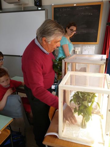 Il sig.Francia consegna i bruchi