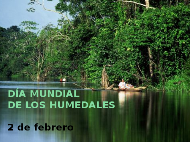 Día Internacional de los Humedales