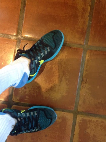 Atticus gives Scout a lesson