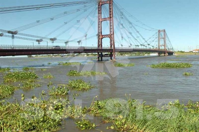Salado y  Paraná comienzan a bajar nuevamente