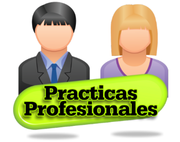 Prácticas profesionales