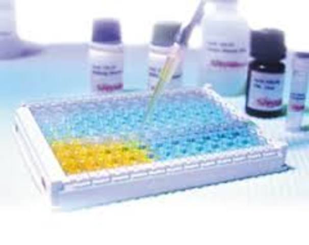 Immunoassay
