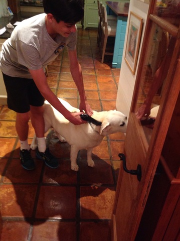 Atticus is a Gentleman