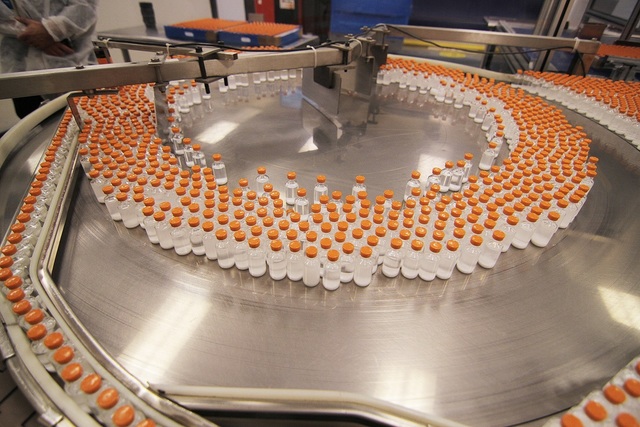 Production of Insulin