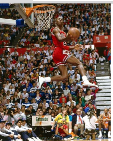 Contributions to sport