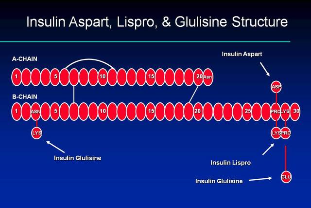 Analogue Insulin