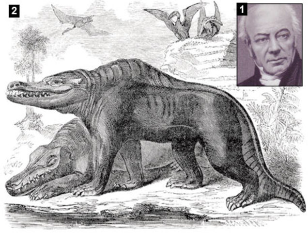 (Evolución) PRIMEROS FÓSILES DE DINOSAURIOS IDENTIFICADOS