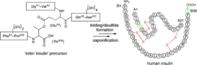 Chemically Synthesised