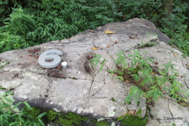 Grains of Sand opens to the Public