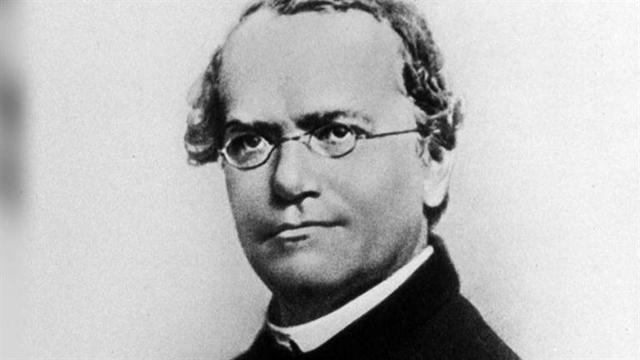 Gregor Mendel Published Experiments in Plant Hybridization