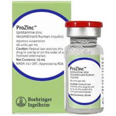 Protaminexinc insulin was introduced as a longer lasting treatment