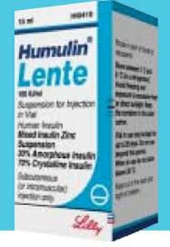 Lente insulin was introduce as another longer lasting insuli