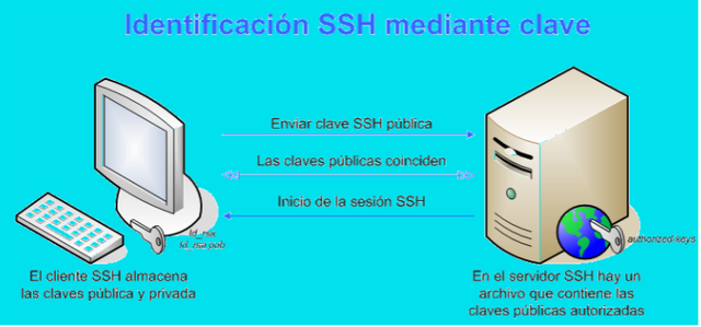 Protocolo SSH