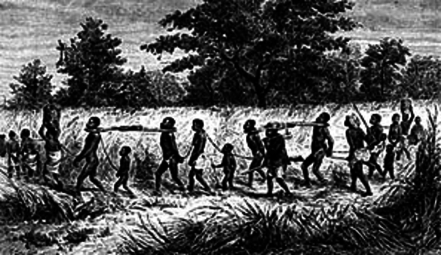 Slaves arriving in America