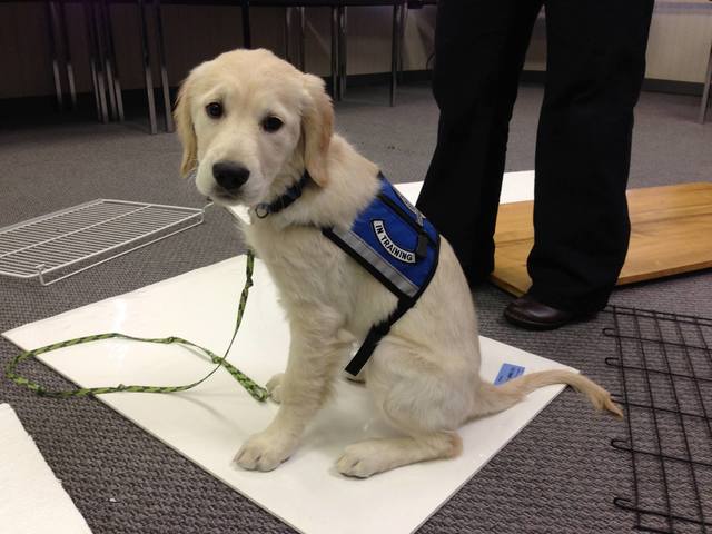 Lutheran Church Charities Training