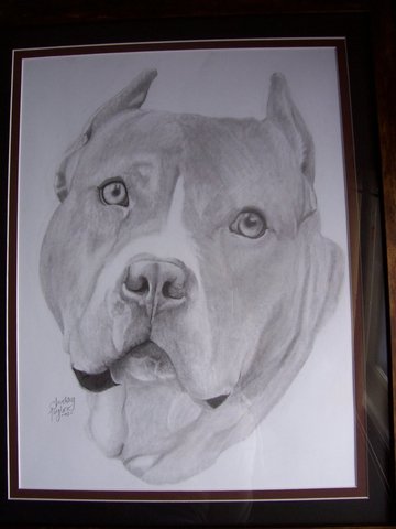 BEST DRAWING OF MY DOG