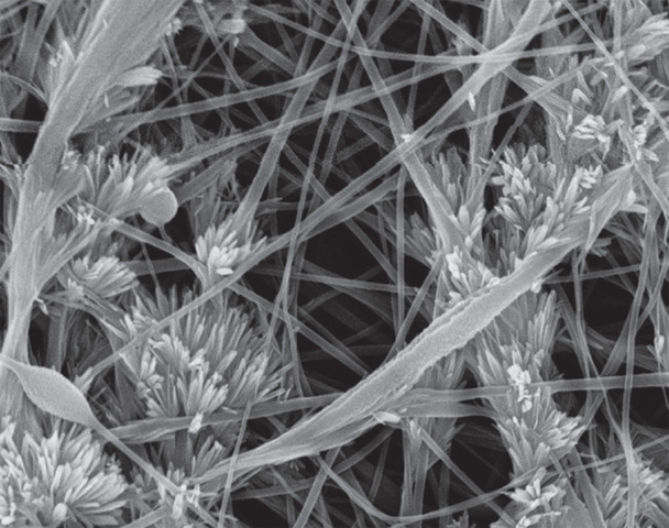 Fibra Nano-Tecnologica