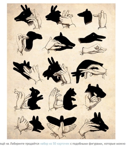 REPRODUCTION D'E OMBRES CHINOISES À IRUÑA