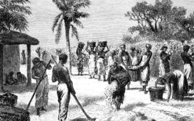 The first slaves arrive in America.