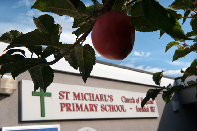 St. Michael's Primary School