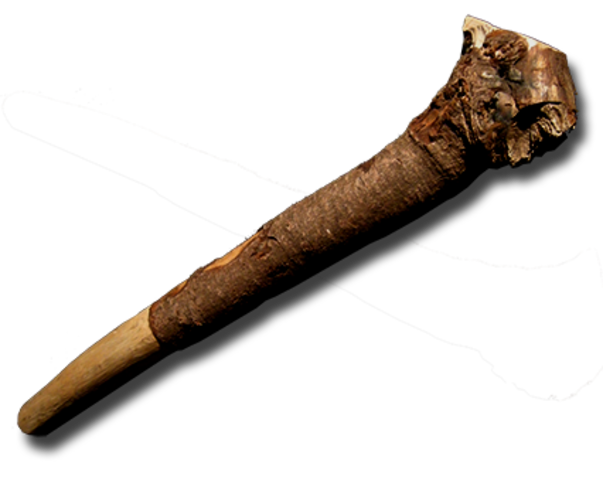 Anwar's First Witnessed Death