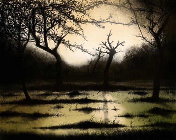 300 millones de años