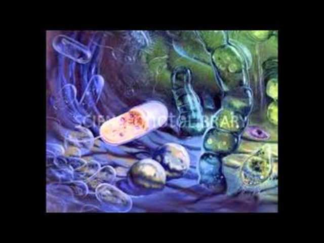 CRECIMIENTO DE VIDA EN EL AGUA.