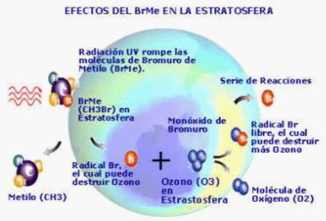 CAPA DE OZONO.