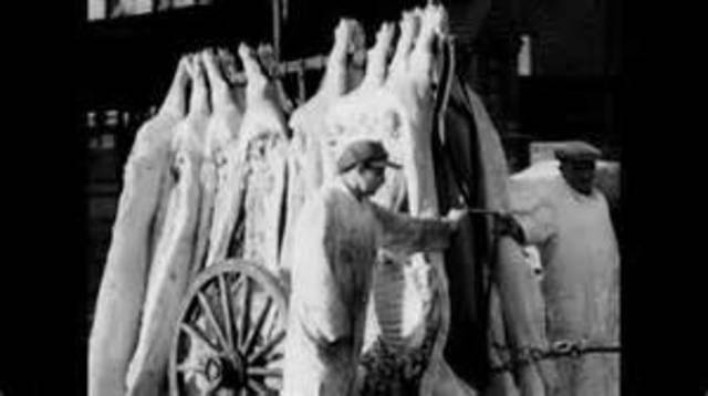 Empresas comienzan a enfocarse y a especializarse en la logística