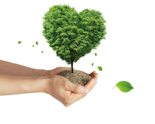 Educación Ambiental