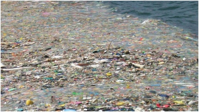 Se utiliza por primera vez el término "cambio climático"