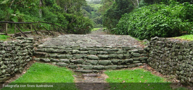 Guayabo, Volcán Rincón de la Vieja.