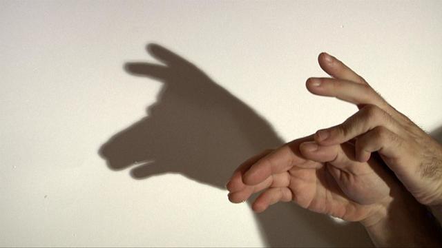 Ombres chinoises à Iruña