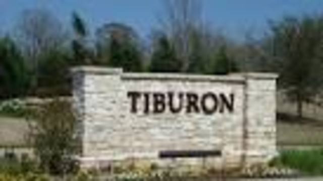 Lily and Rosaleen Arrive in Tiburon