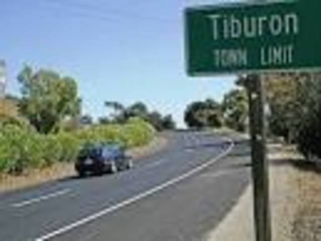 Tiburon