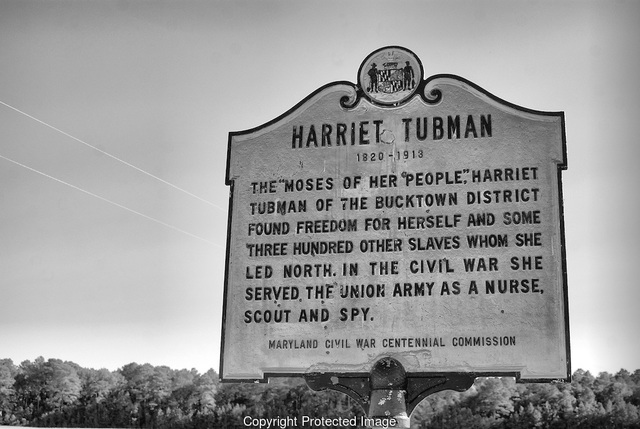 Journeys Back To Maryland